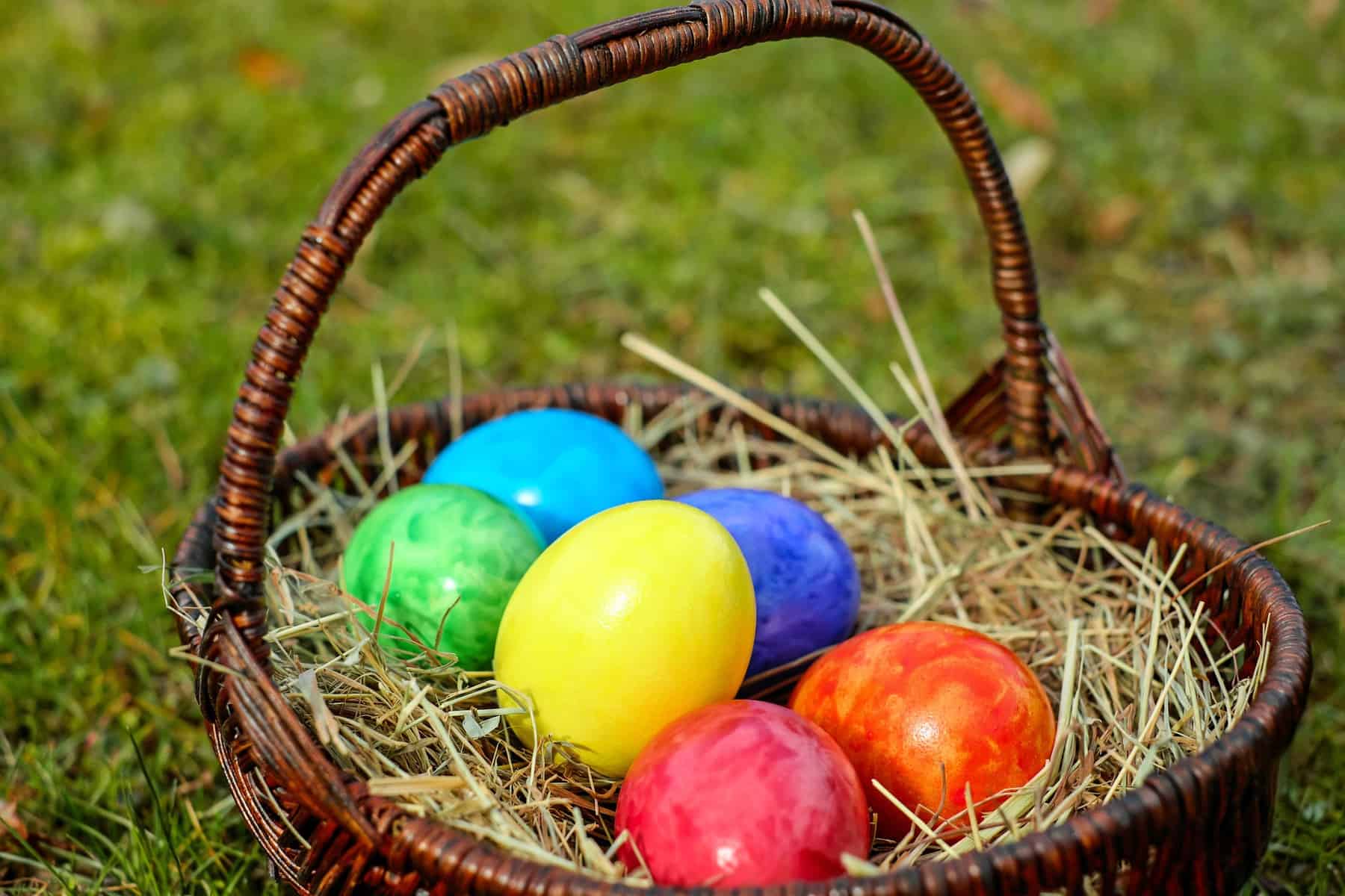 Easter basket full of colorful eggs sitting in a field for Easter Brunch Menu. 