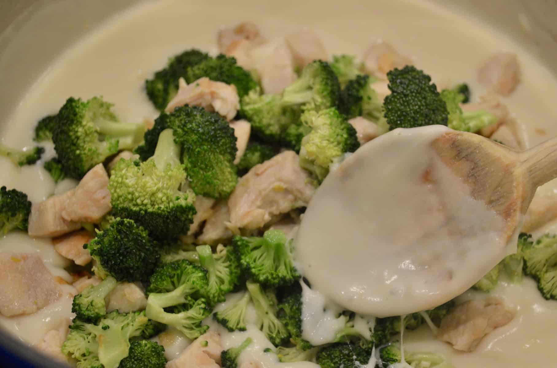 Chicken and Broccoli sauce with cheesy covered spoon