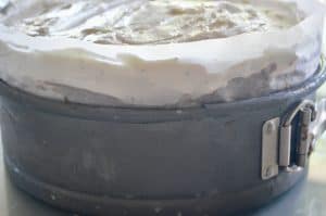 Easy Ice Cream Cake Recipe