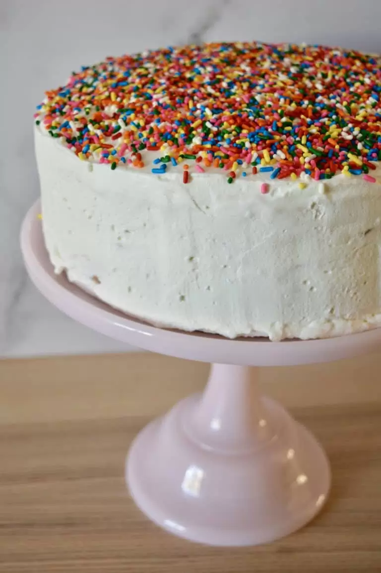 Easy Ice Cream Cake Recipe | Just 5 Ingredients!