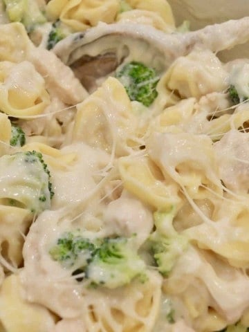 Chicken and Broccoli Tortellini in a large pot on the stove