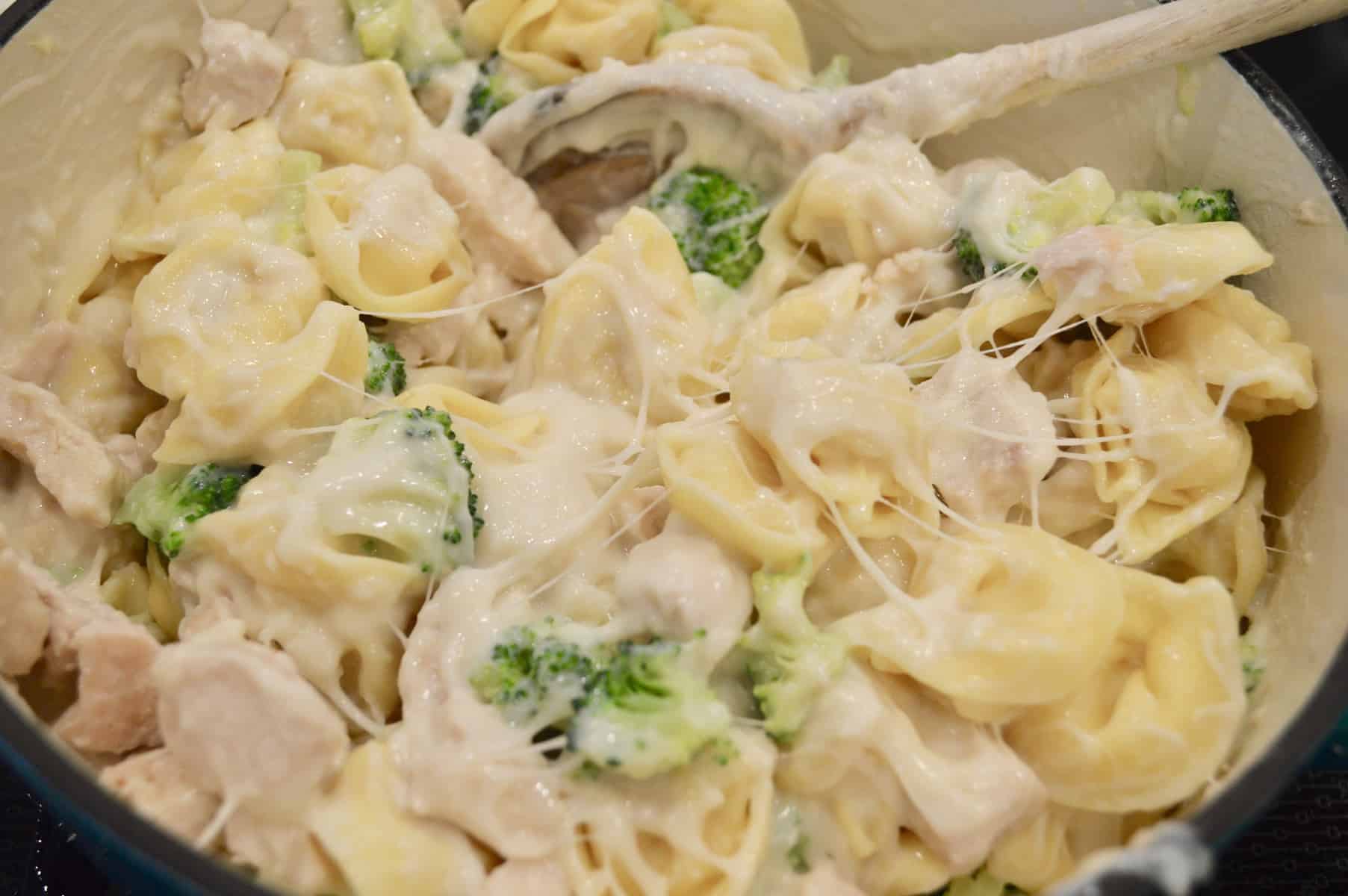 Chicken and Broccoli Tortellini in a large pot on the stove