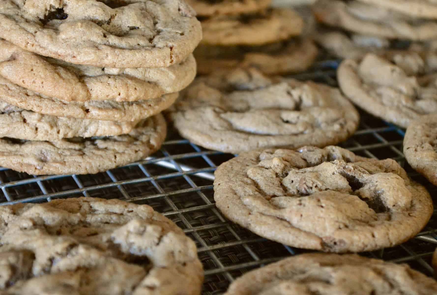 Chocolate Malted Cookies 