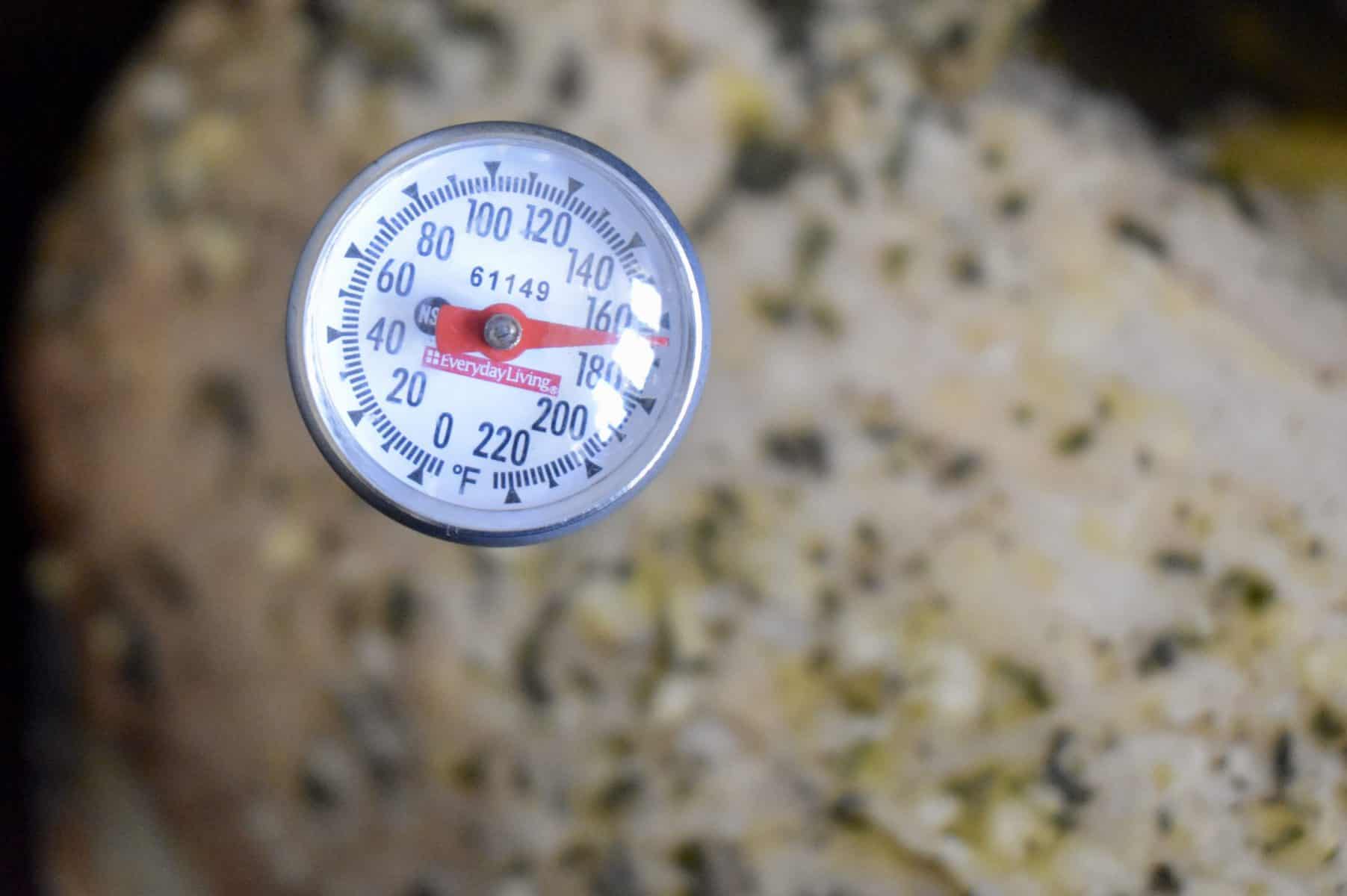 thermometer in slow cooker turkey breast.
