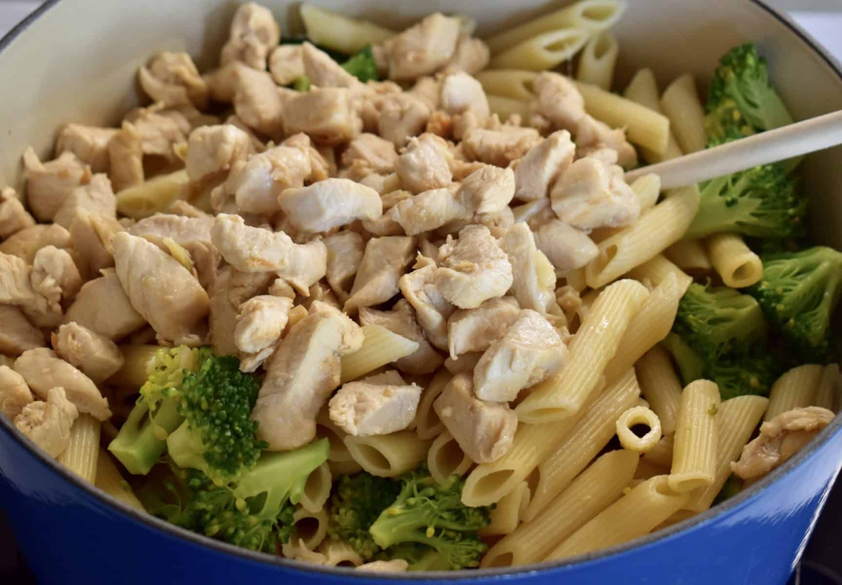 pot of chicken, broccoli, penne, and alfredo sauce