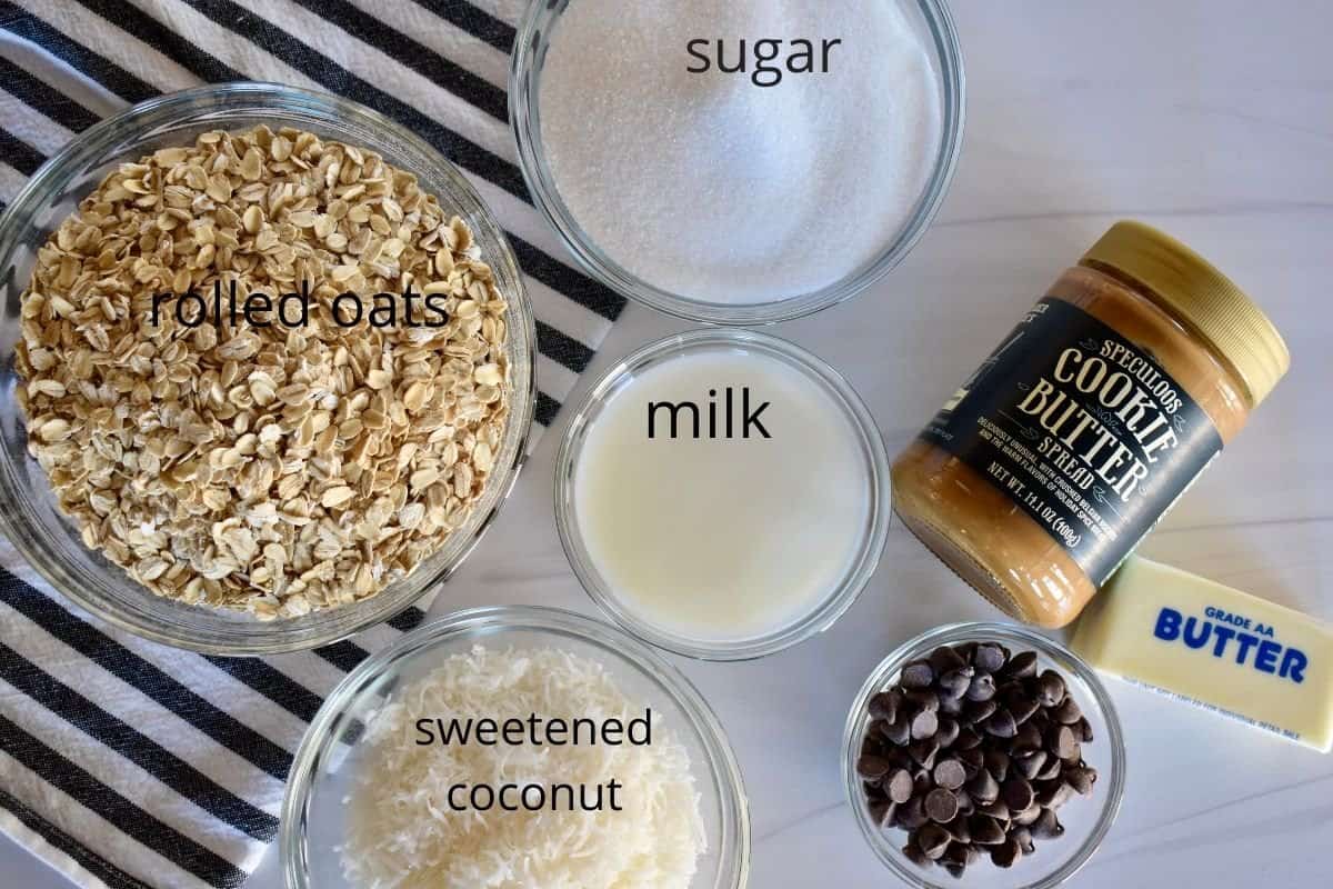 overhead photo of ingredients including butter, sugar, milk, coconut, chocolate, and rolled oats. 