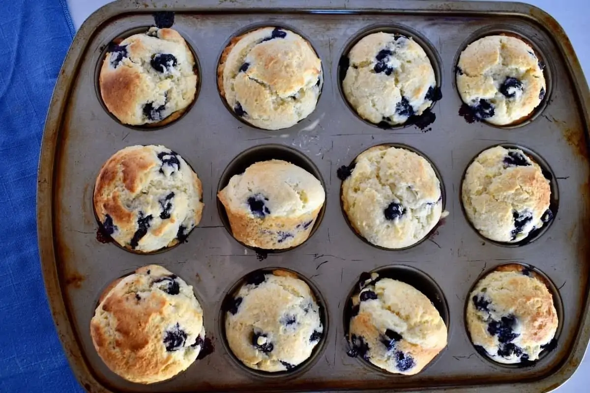 Overhead photo of Blueberry Ricotta Muffins in a muffin tin. 