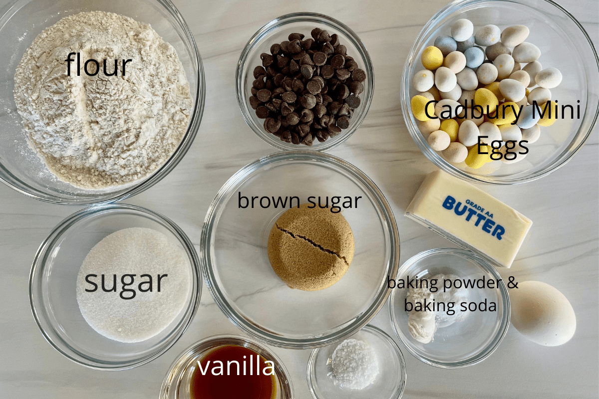 overhead photo of ingredients needed for recipe including chocolate chips, flour, butter, sugar, and an egg. 