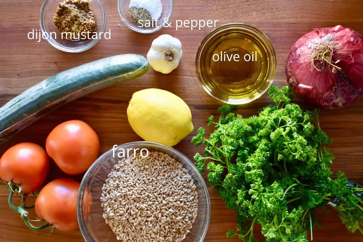overhead photo of ingredients need to make recipe including lemon, parsley, tomatoes, cucumber, red onion, and garlic. 