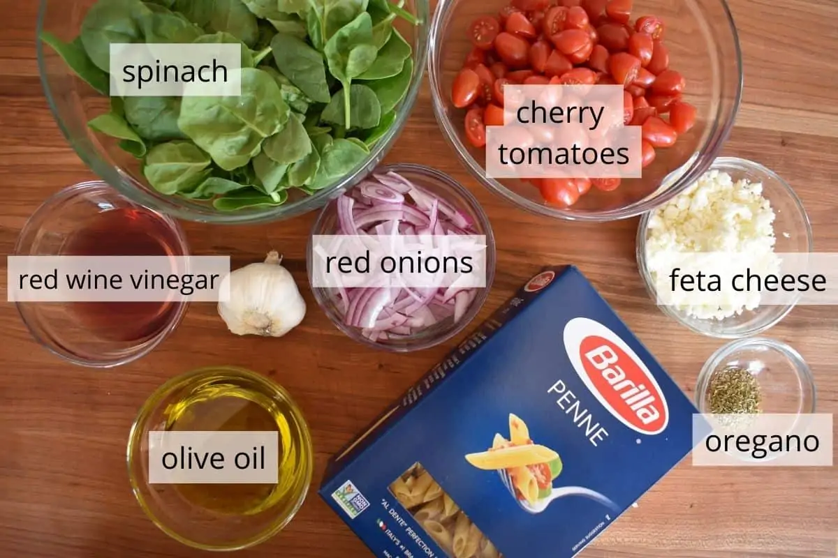 overhead photo of ingredients including tomatoes, feta cheese, red onion, and a box of penne. 