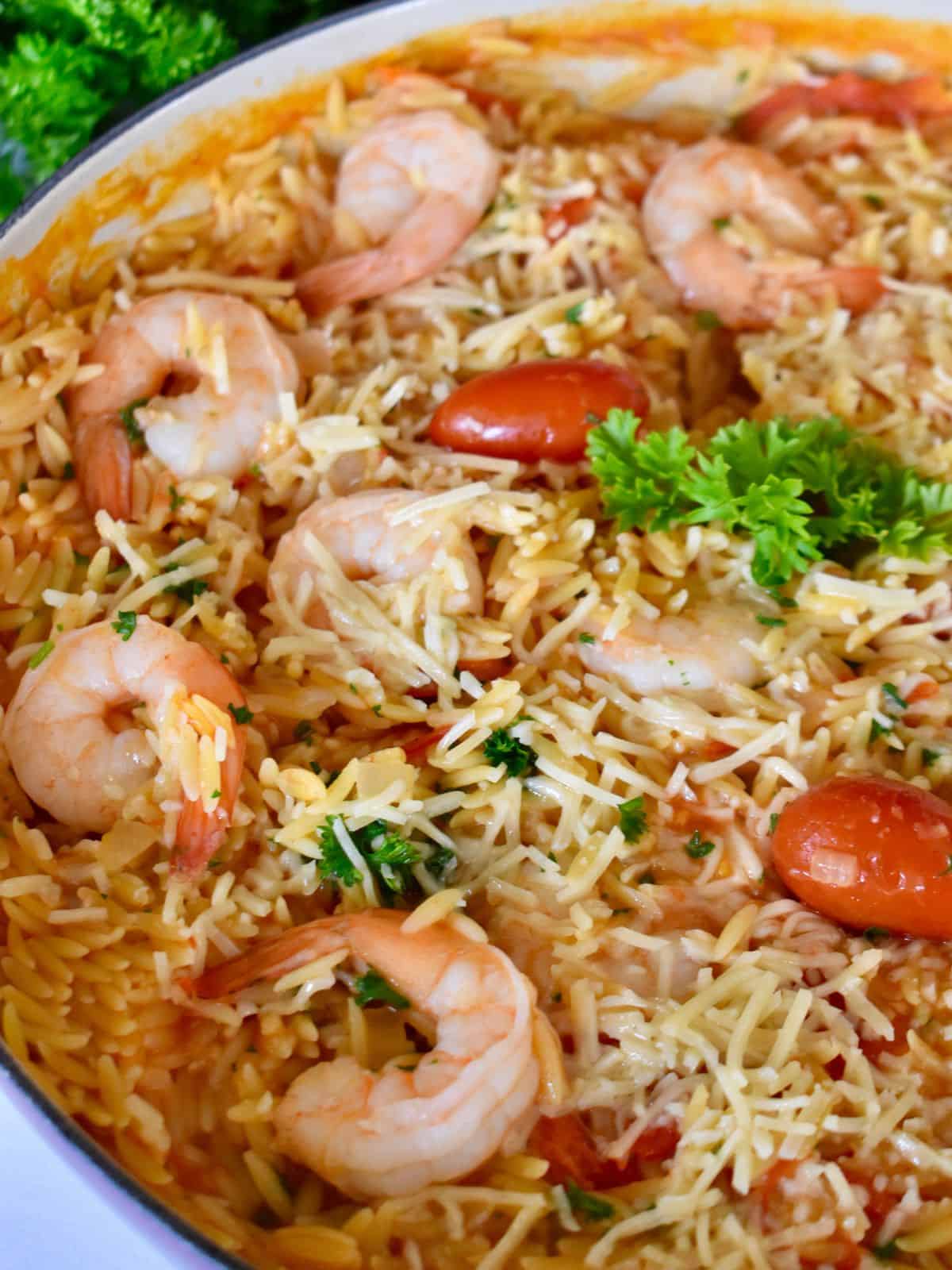 Shrimp Orzo with cherry tomatoes and parsley in a large pan. 