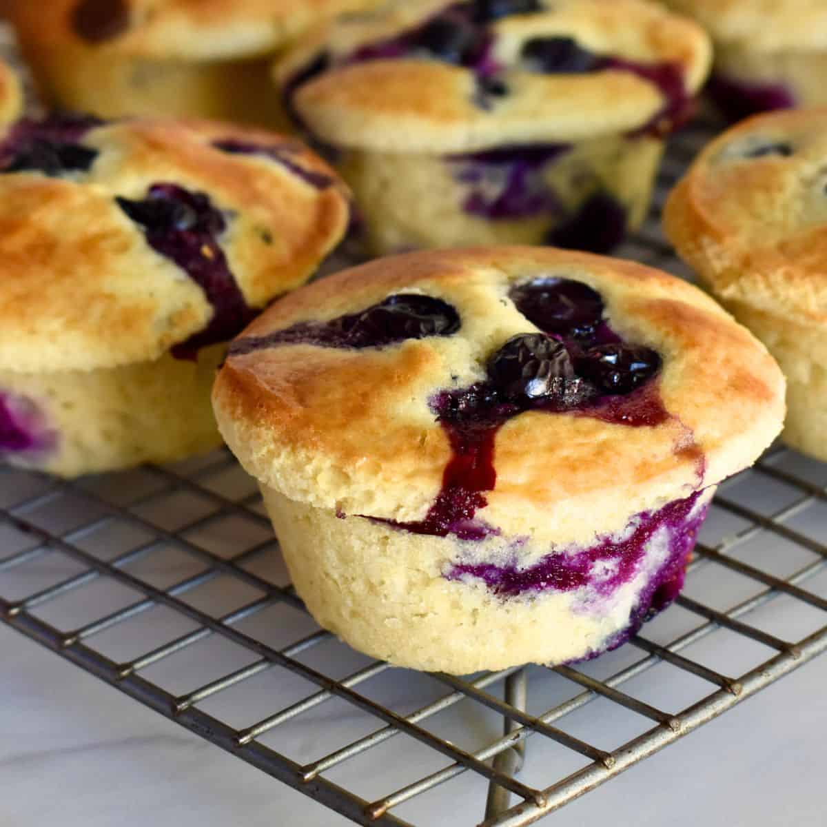 Cooking With My Food Storage: Amazing Blueberry Muffins-Make your own mix