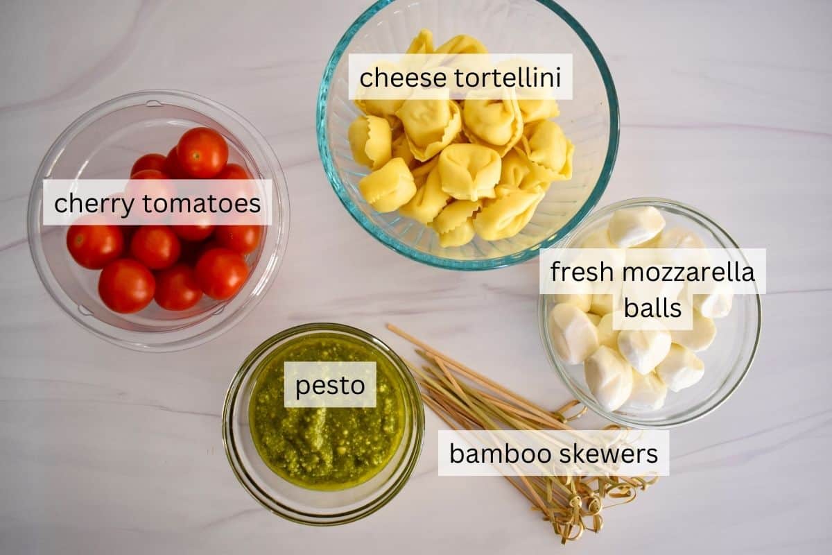 Labeled photo of the ingredients needed for recipe plus bamboo skewers.