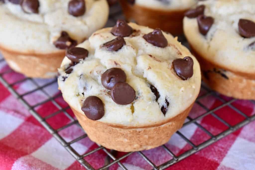 Chocolate Chip Ricotta Muffins This Delicious House   Chocolate Chip Ricotta Muffins 1 1024x683 