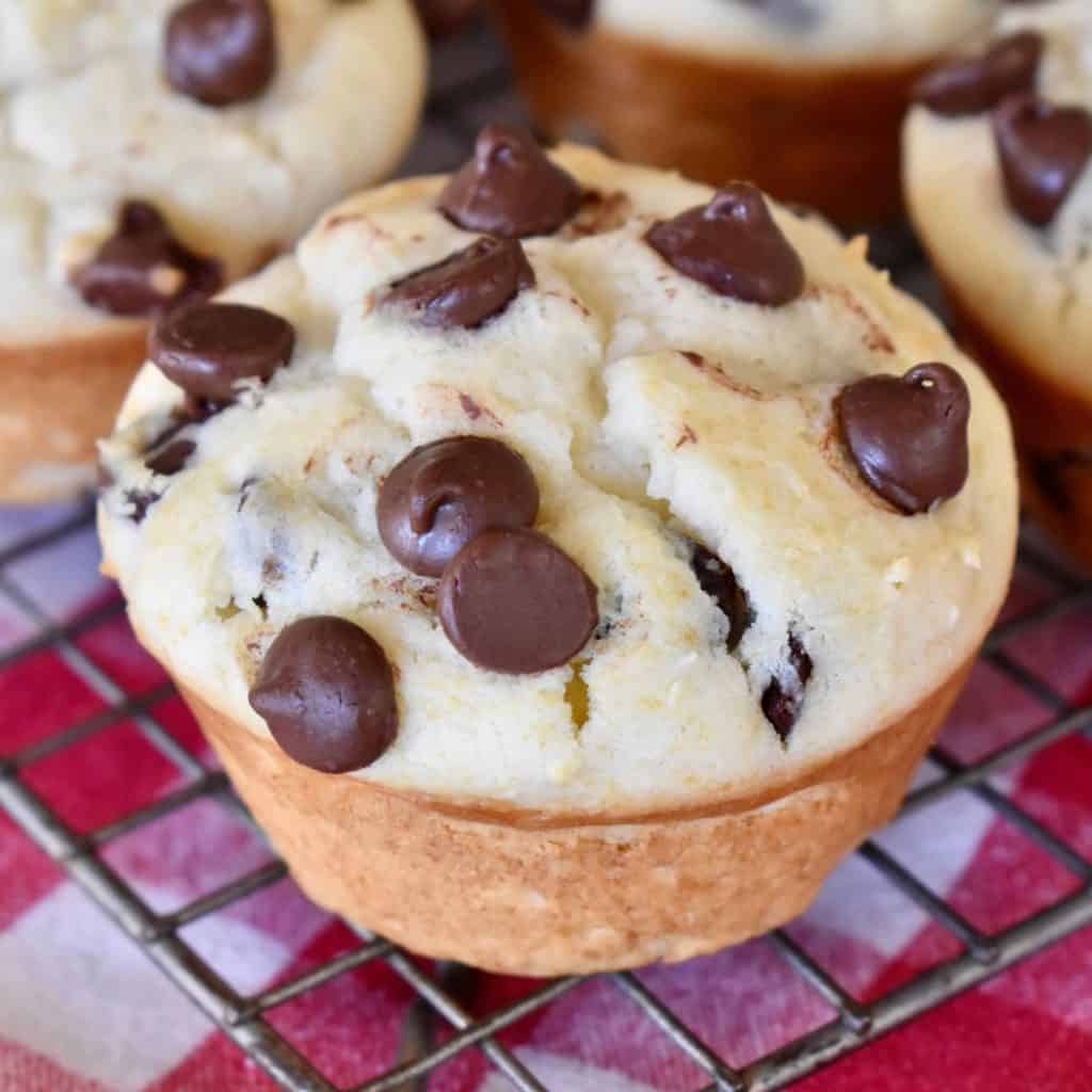 Chocolate Chip Ricotta Muffins.