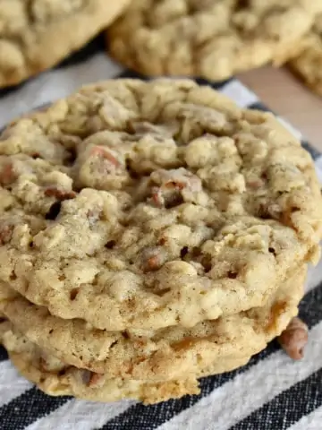 Oatmeal Cinnamon Chip Cookies recipe.