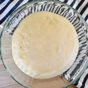 Small batch pizza dough recipe.