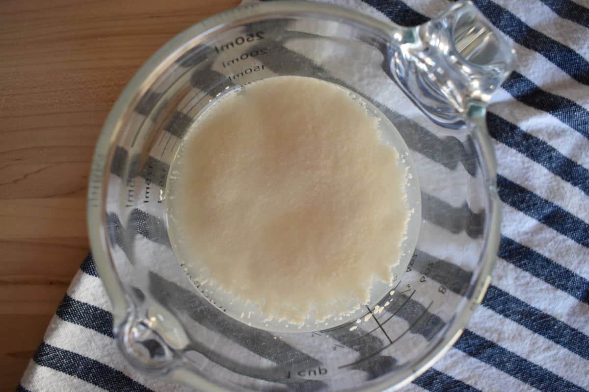 Yeast, water and sugar in a mixing cup. 