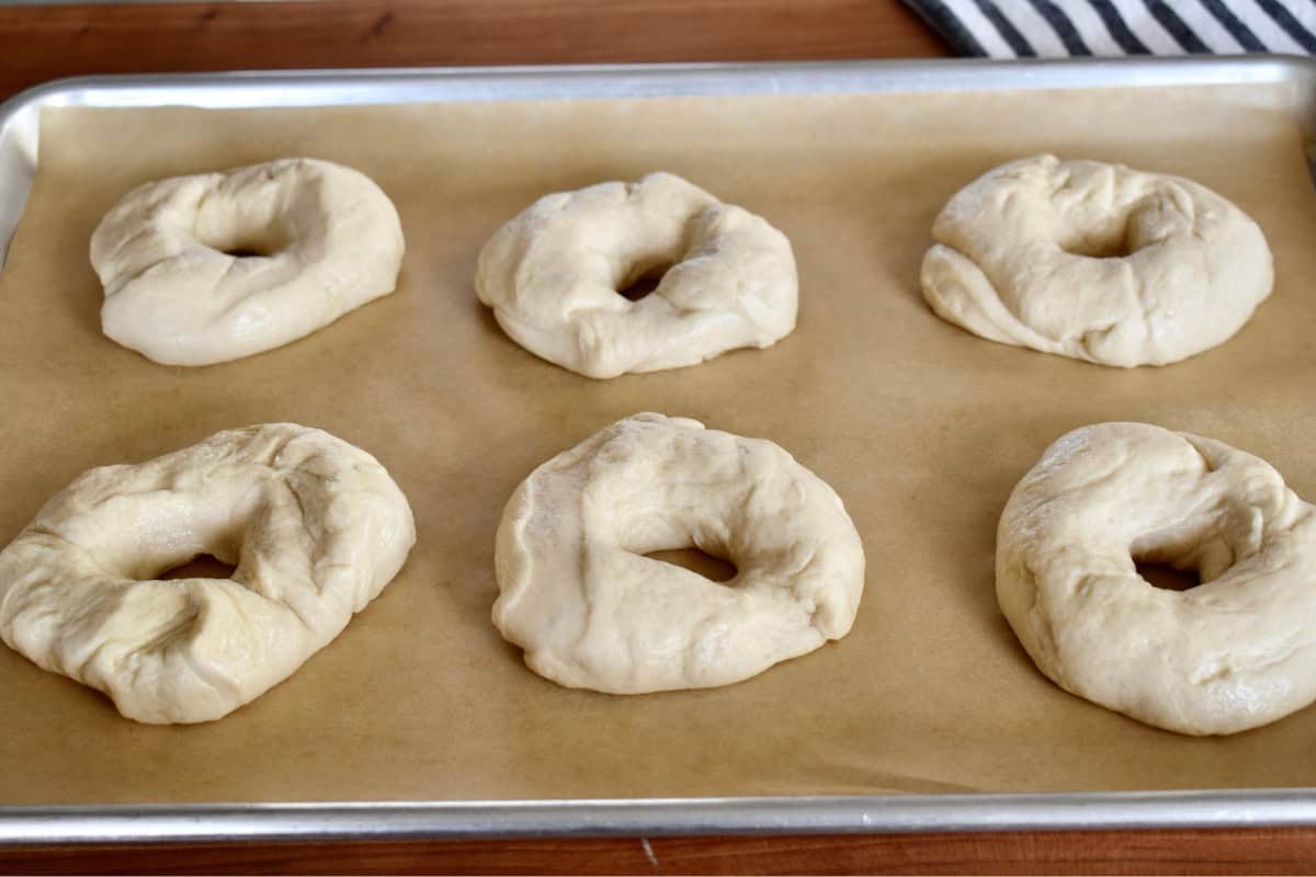 Formed bagels on a lined baking sheet. 