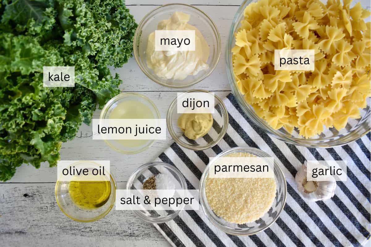 Ingredients for recipe on a countertop.