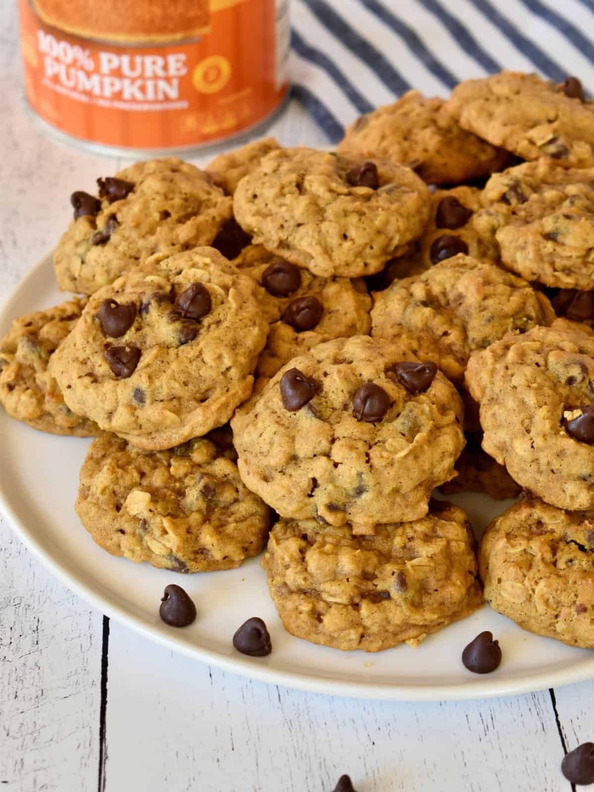 Pumpkin Oatmeal Chocolate Chip Cookies on a white plate with canned pumpkin in the background. 