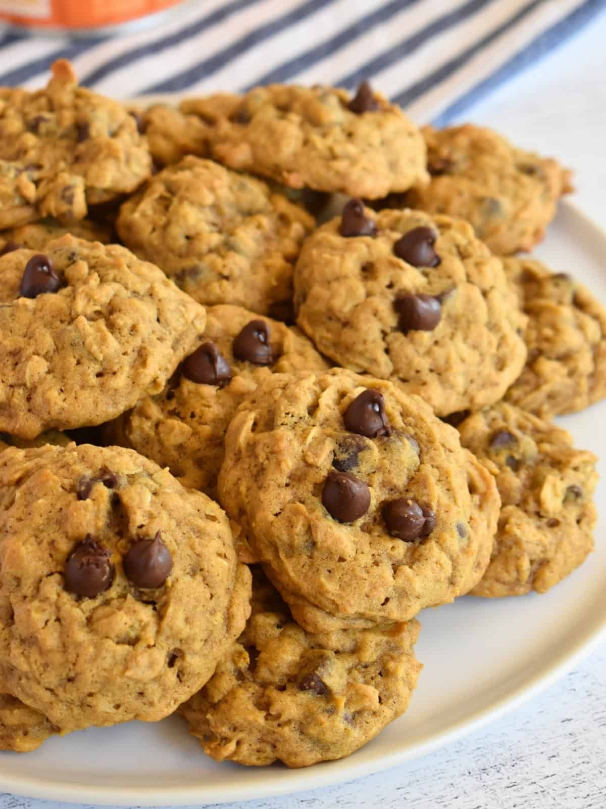 Pumpkin oatmeal chocolate chip cookies on a white plate. 