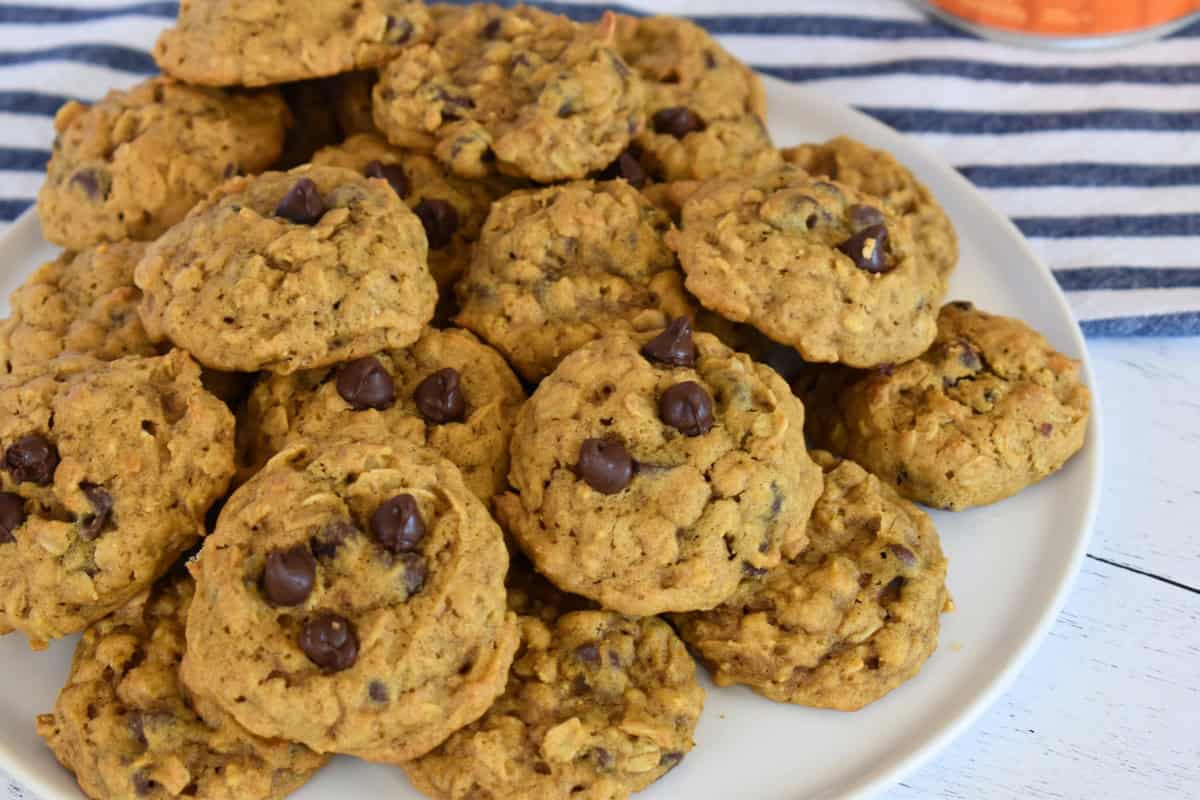 Pumpkin Oatmeal Chocolate Chip Cookies on a white plate. 